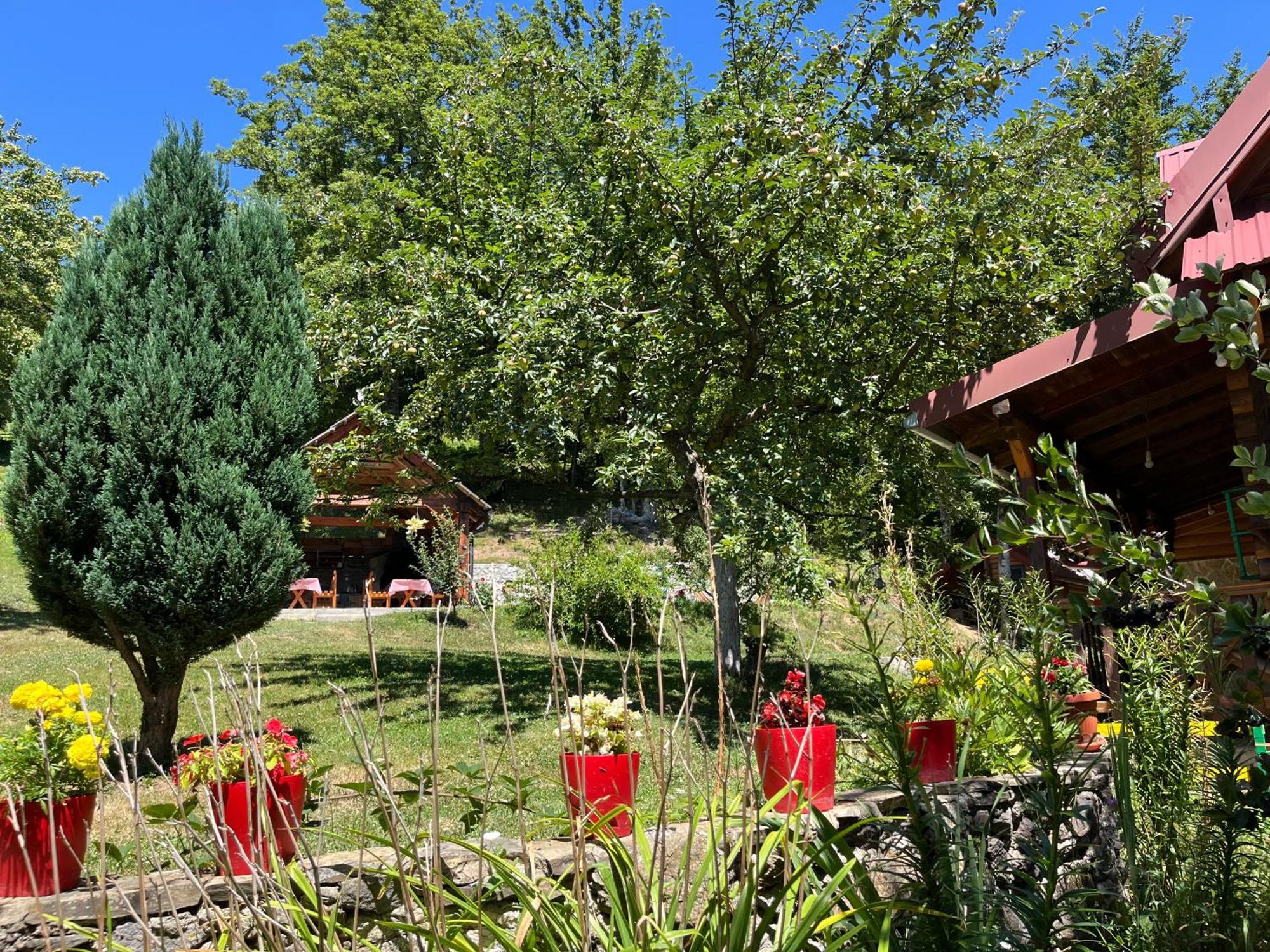 Estate Vukadinovic Holiday home *