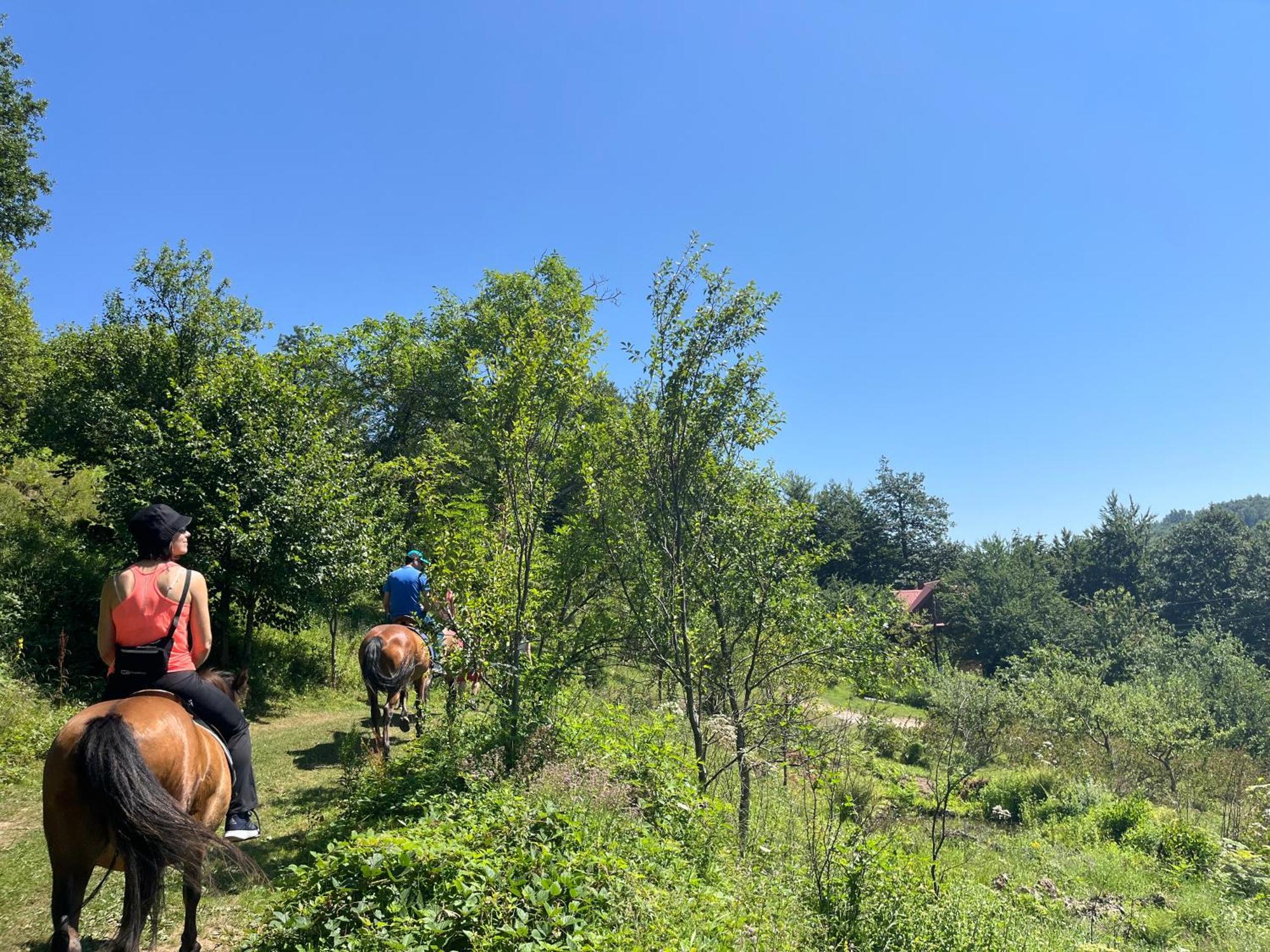 Holiday home Estate Vukadinovic