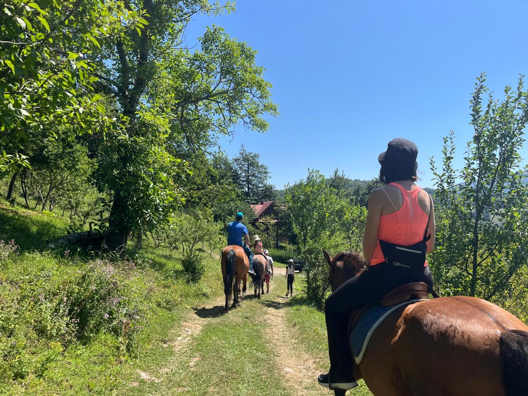 Estate Vukadinovic * Mojkovac